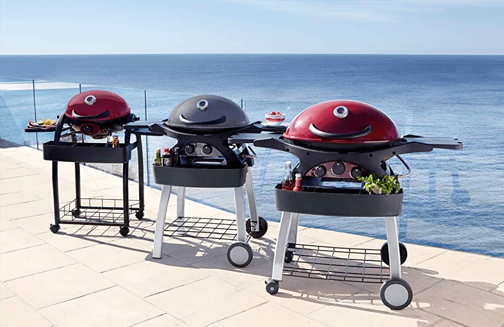 A Comprehensive Guide to Ziegler and Brown Portable BBQ Models