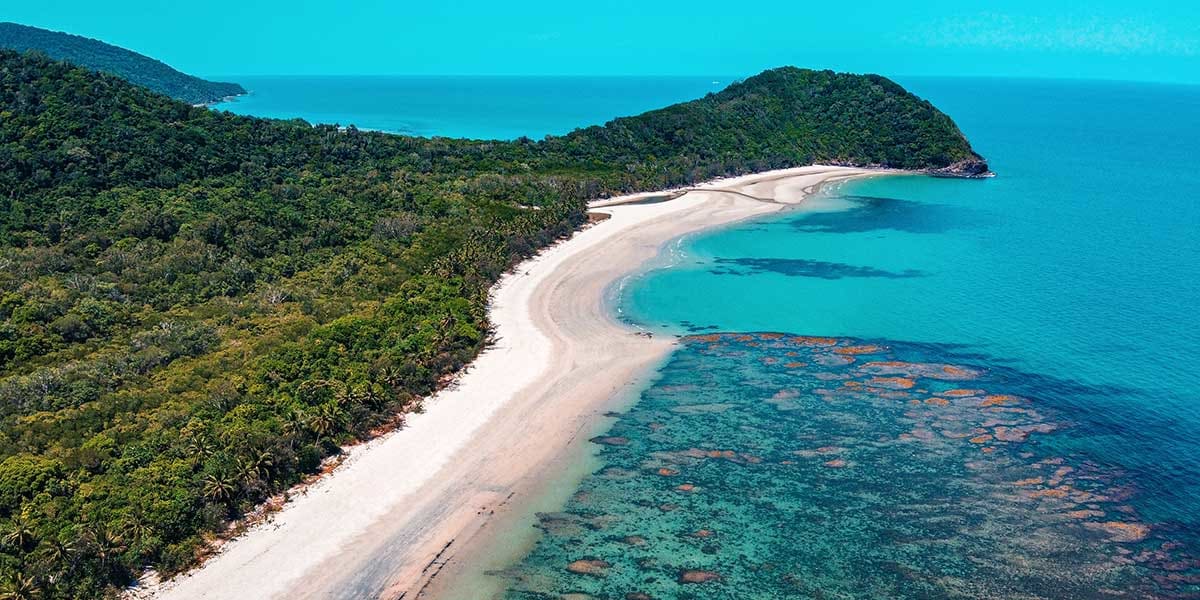 Daintree Rainforest Travel Guide