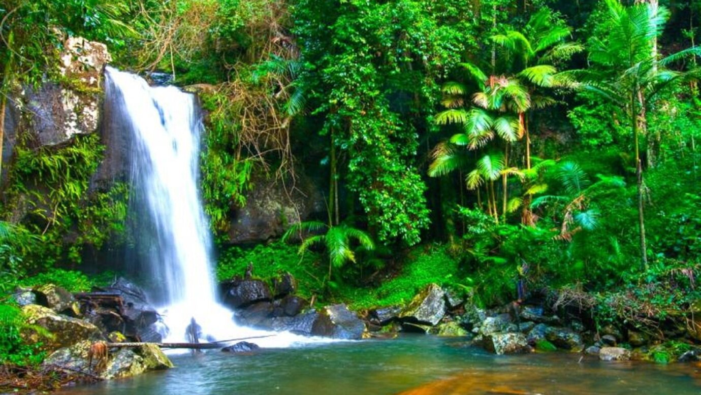 Best National Parks in South East Queensland