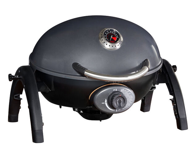 The Ultimate BBQ Showdown Ziggy Single Burner BBQ vs. er Q2000 BBQ