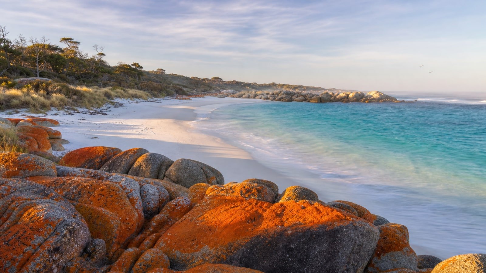 Orange lichen-covered granite boulders framing the white sand and turquoise water of the Bay of Fires at Binalong Bay, north-east Tasmania, in early spring morning light