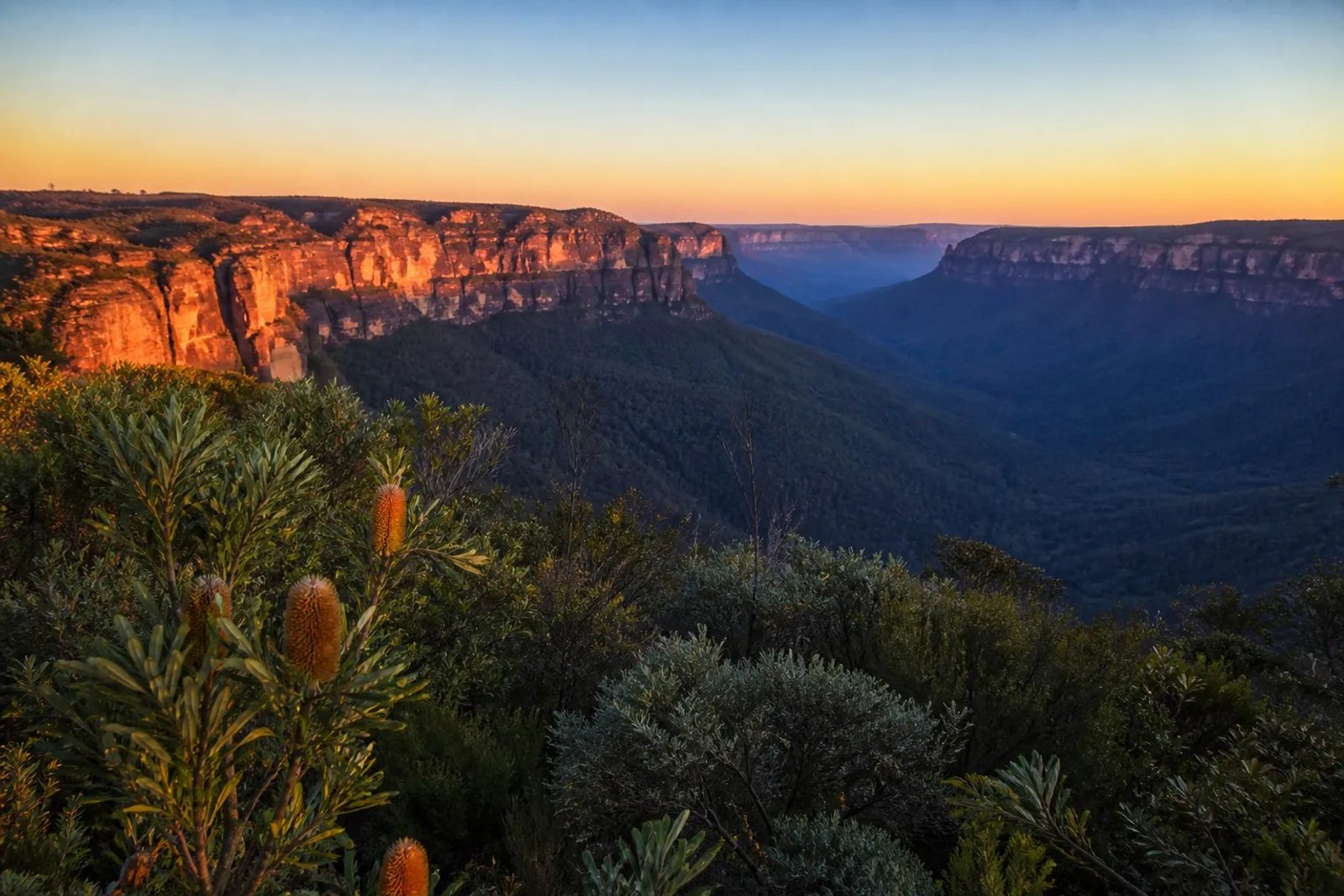 The deep blue-misted Grose Valley in the Blue Mountains at sunset, with sandstone escarpments glowing orange in the low winter sun.
