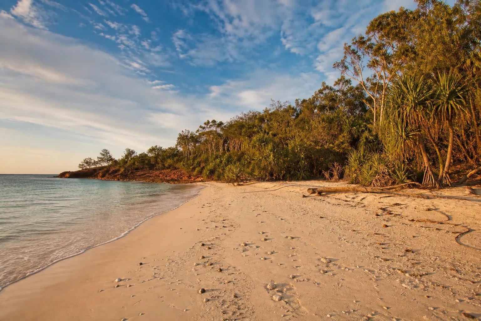 White sand beach on the Cobourg Peninsula in Arnhem Land at golden hour, calm turquoise Arafura Sea meeting a low red laterite headland, with pandanus and monsoon vine thicket backed by melaleuca and eucalypt trees.