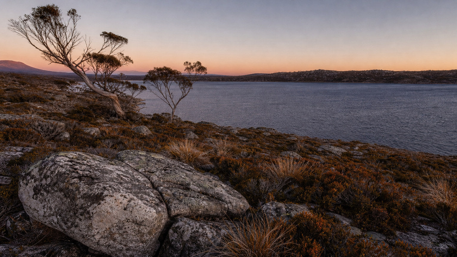 Still dark water at first light on Great Lake, Tasmania, with a lichen-covered boulder, tussock grass and twisted snow gums on the shore.