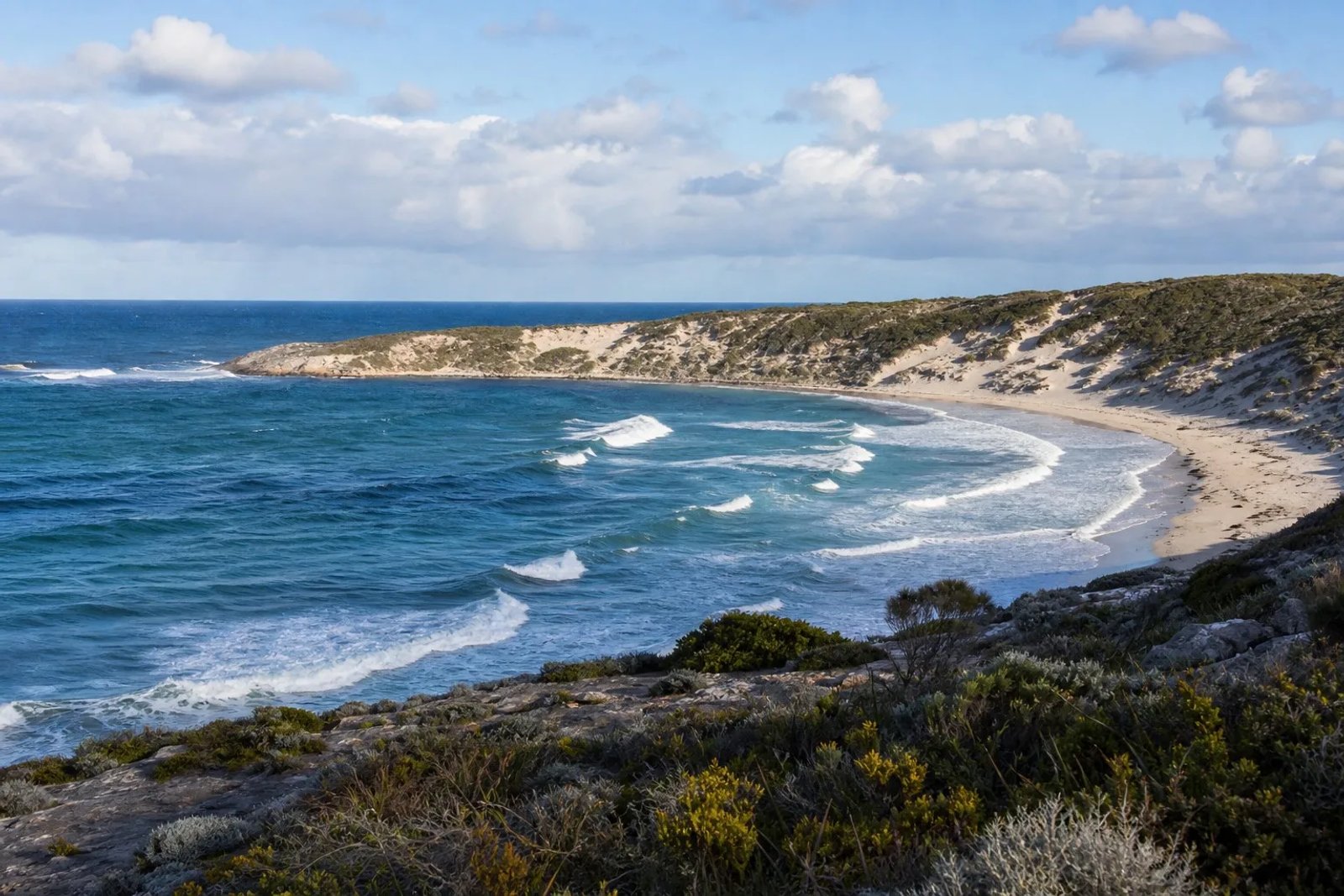 Pondalowie Bay in Innes National Park: a crescent of pale sand with white dunes, rolling winter surf and windswept coastal heath on the headlands