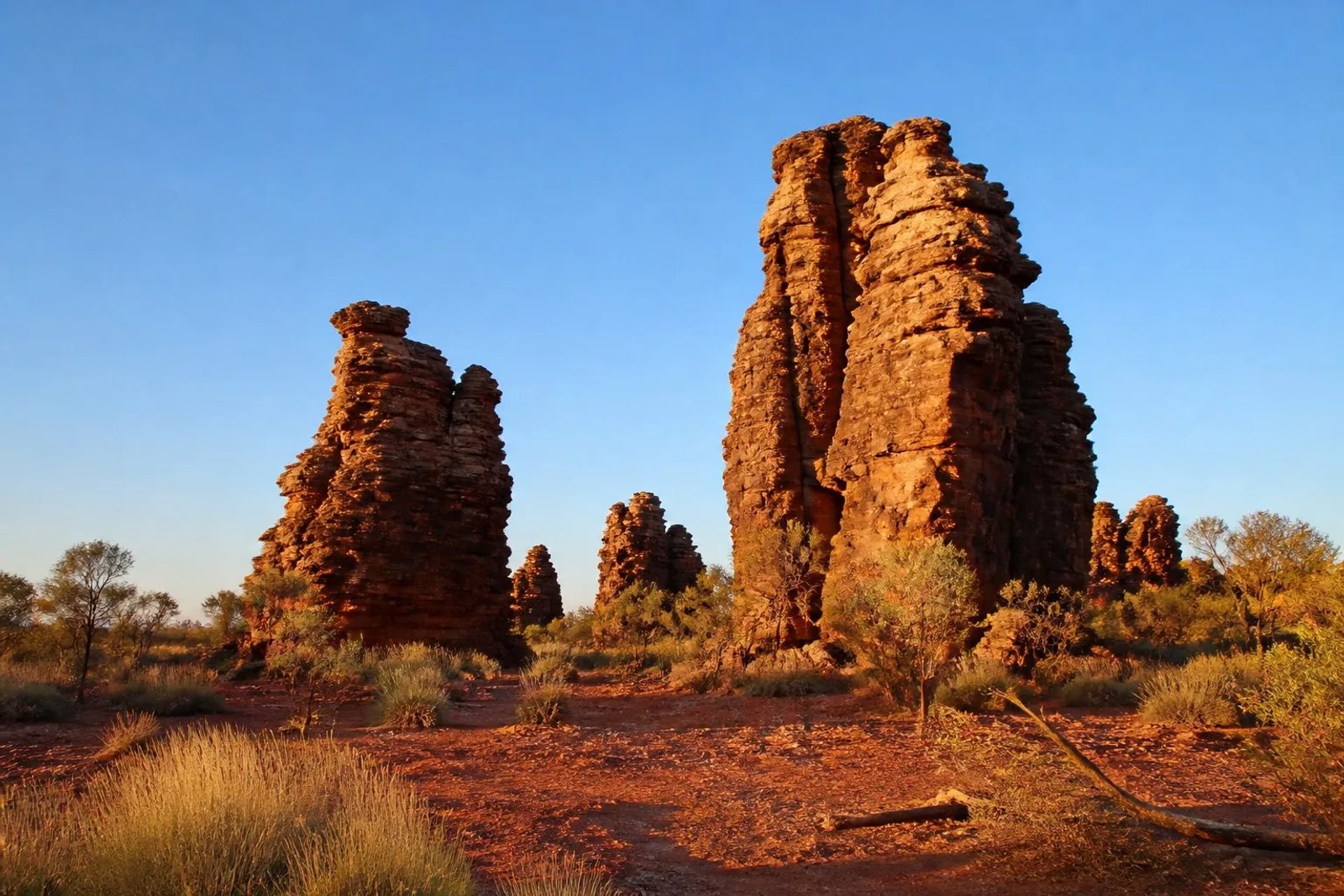 Weathered sandstone spires of the Southern Lost City rising from the red earth at golden hour in Limmen National Park, Northern Territory.