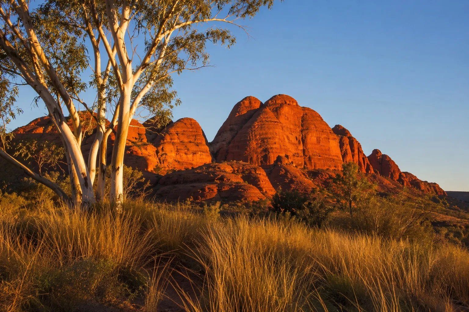 Sandstone cliffs and domes of Kings Canyon NT at sunrise