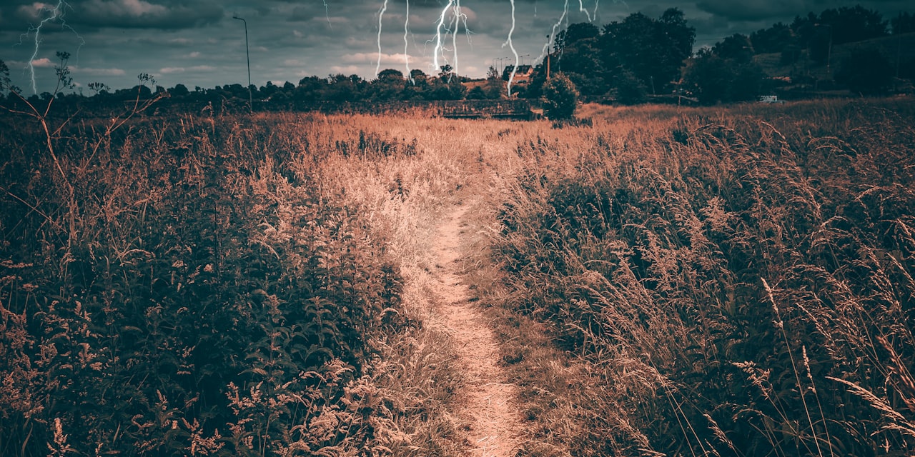 Starry night sky over remote Australian bush — satellite internet with tripod mount