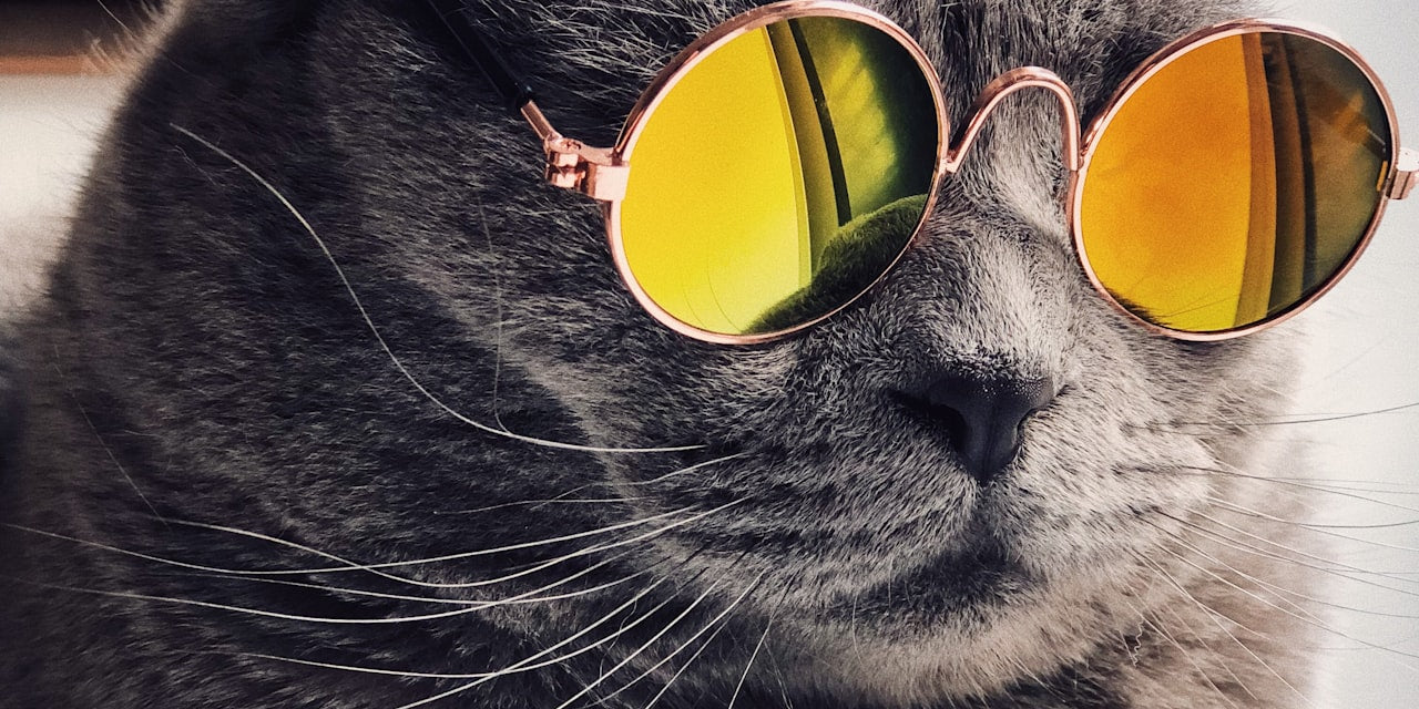 Campfire and tent in remote Australian bush — off-grid camping with satellite connectivity