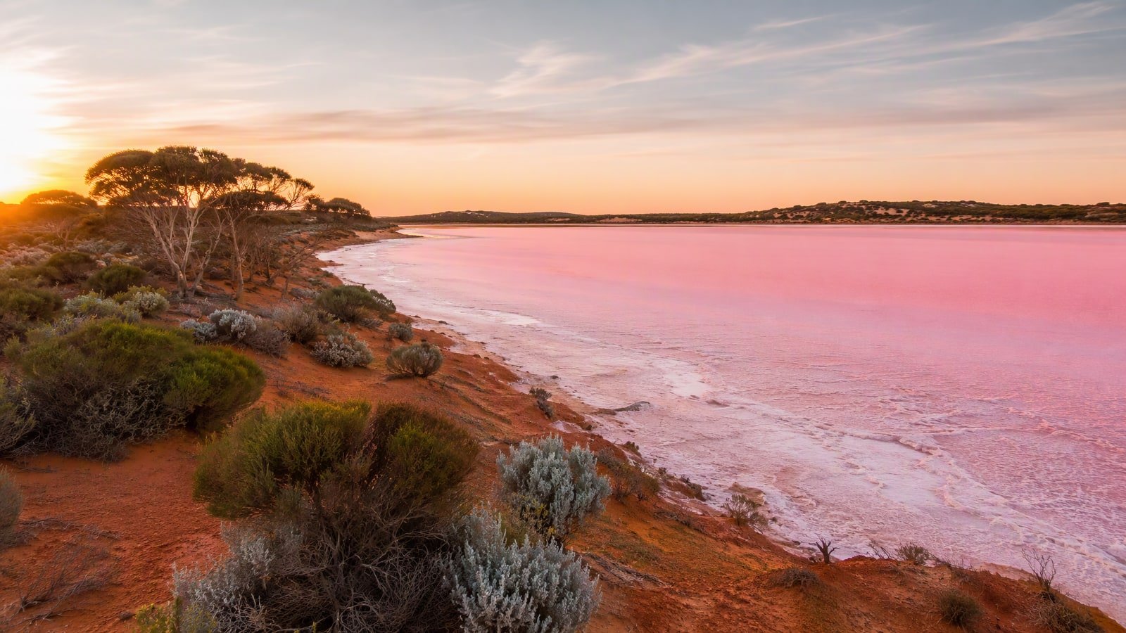 Pink salt lake at sunrise in Murray-Sunset National Park, Victoria, with a red-ochre shoreline, crusted salt edges, mallee eucalypt scrub and grey saltbush in the foreground of the Mallee landscape