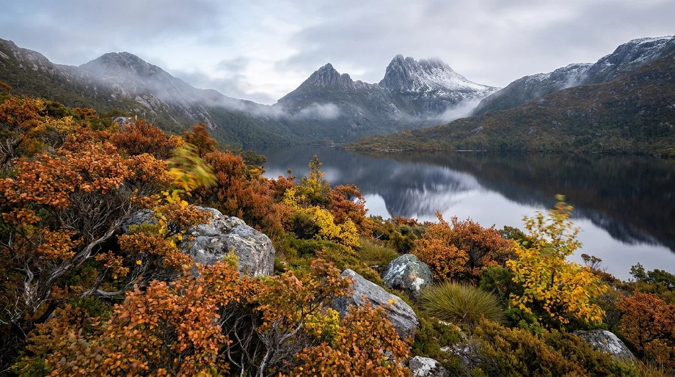 Cradle Mountain's twin dolerite spires dusted with snow rise above a still alpine lake at dawn, foreground hillside ablaze with rust-orange and gold fagus in peak autumn turning, Tasmania, mid-May 2026