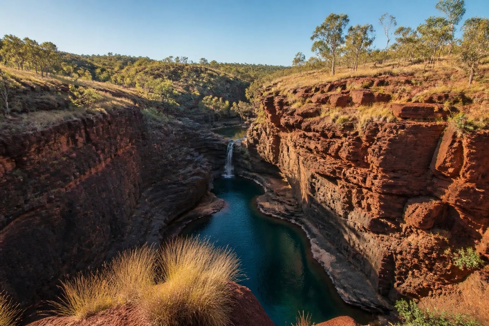 Banded red ironstone gorge walls rising above a turquoise rock pool with a small waterfall at Karijini National Park, spinifex and eucalyptus on the gorge rim