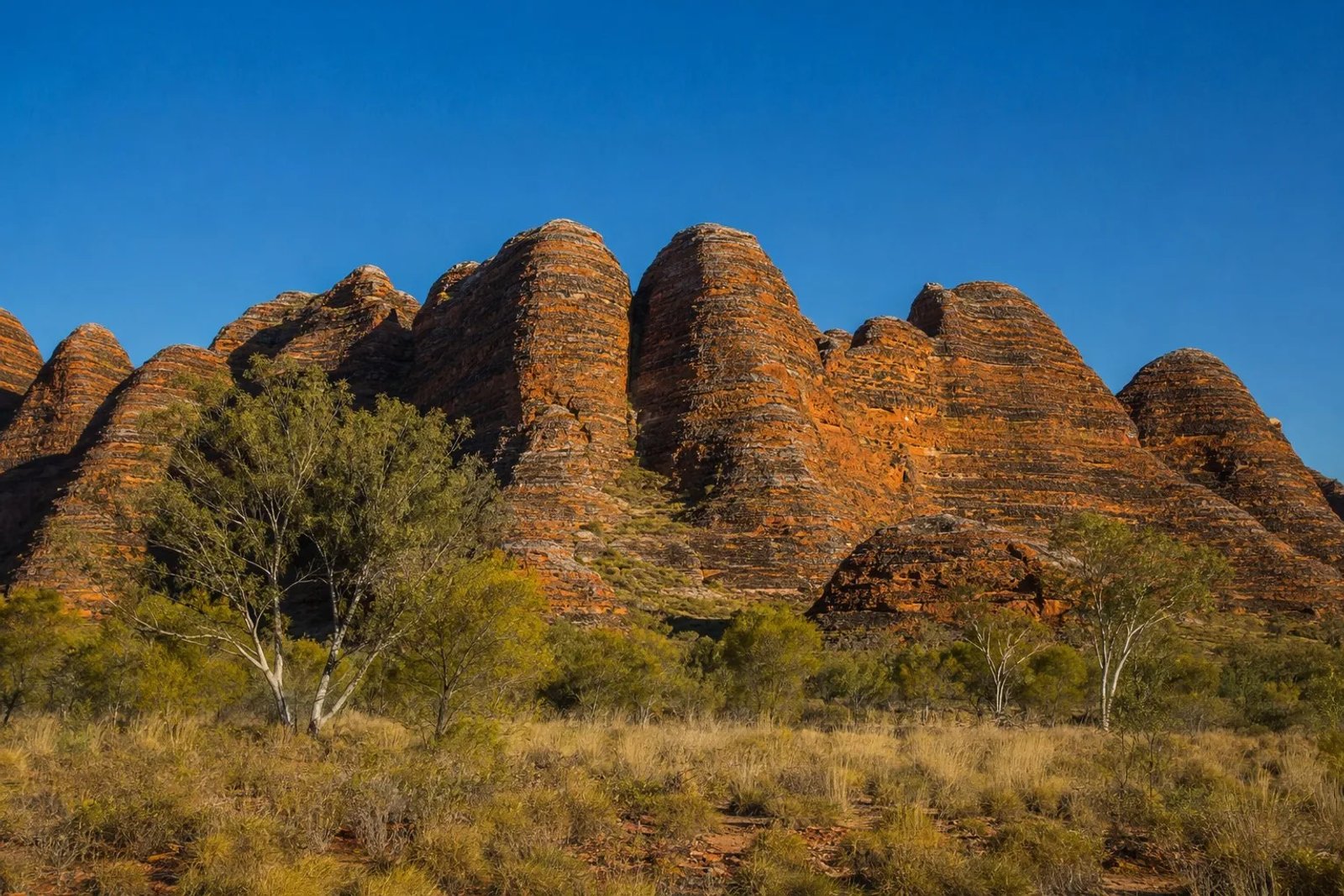 The striped orange and black beehive domes of the Bungle Bungle Range in Purnululu National Park at golden hour