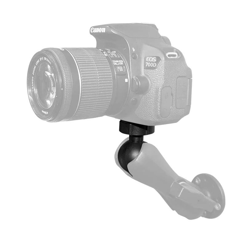 C-size ball with 1/4"-20 stud screwed into the tripod socket of a DSLR camera.
